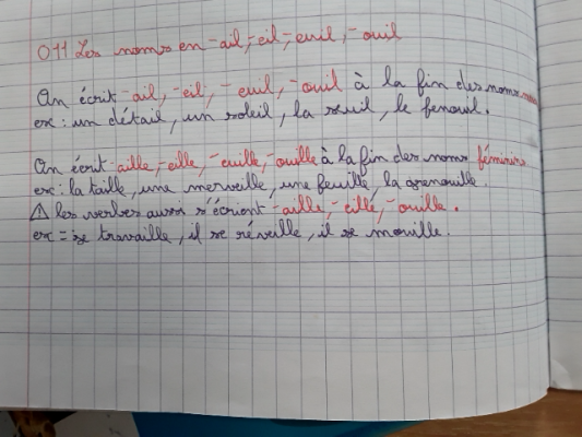 Photo d'un cours de  Orthographe des noms et verbes