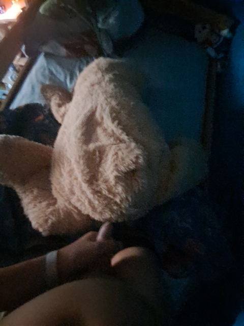 Photo d'un cours de  Ours en peluche sur lit