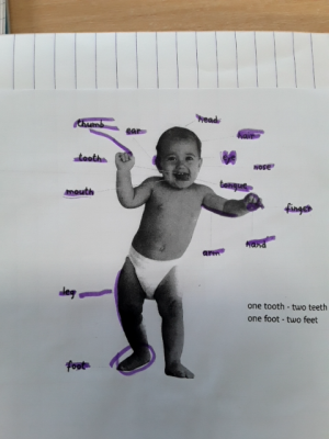 Photo d'un cours de  Parties du corps en anglais