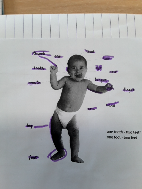 Photo d'un cours de  Parties du corps en anglais