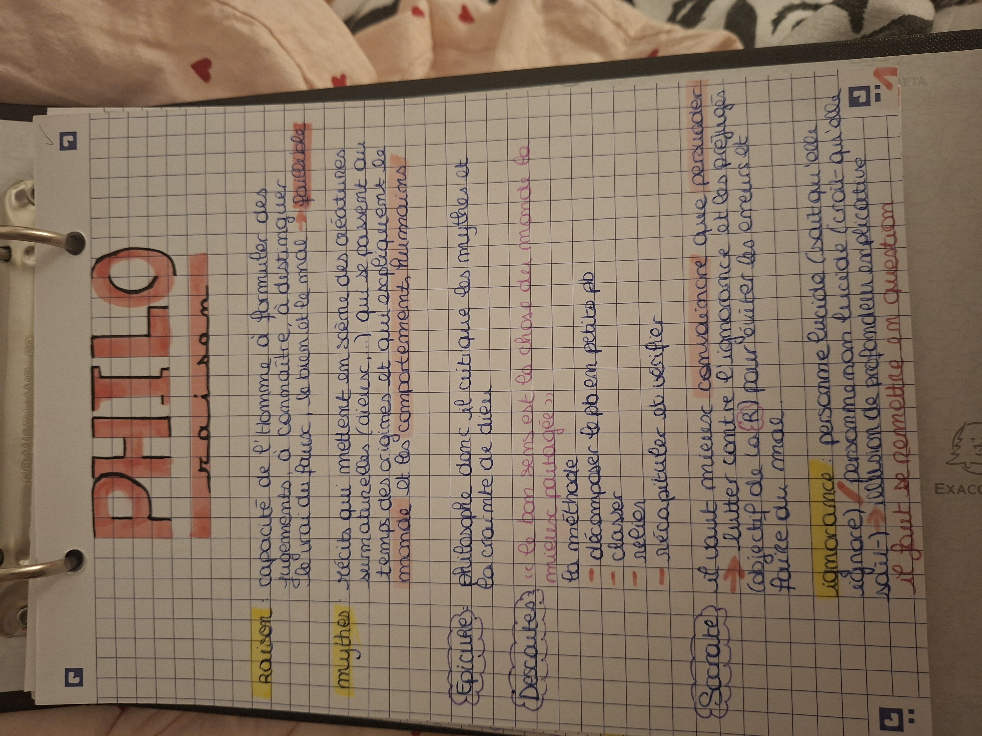 Photo d'un cours de  Philosophie : Raison et Mythe