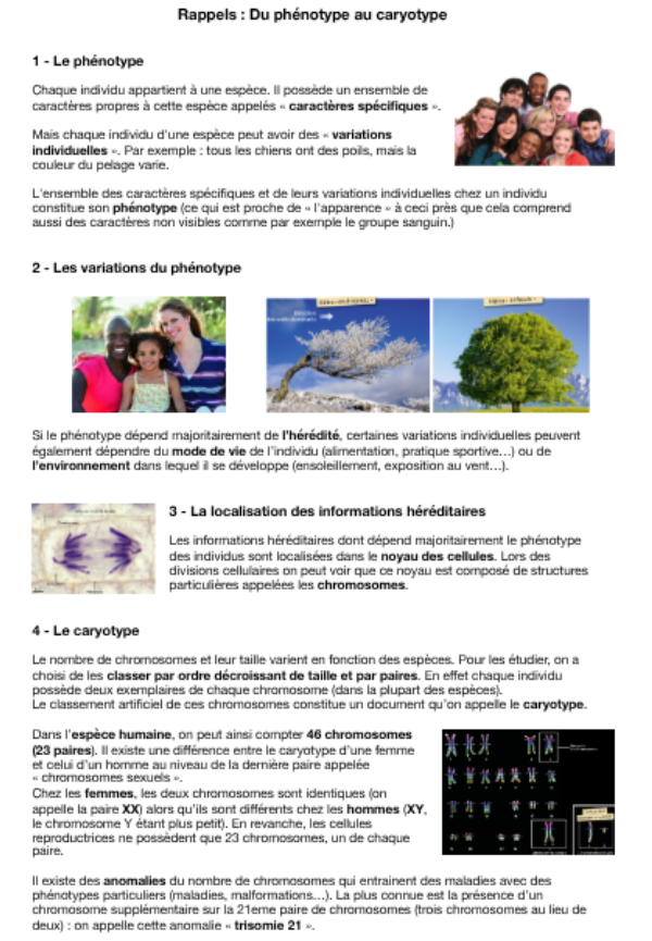 Photo d'un cours de  Phénotype et Caryotype Explications
