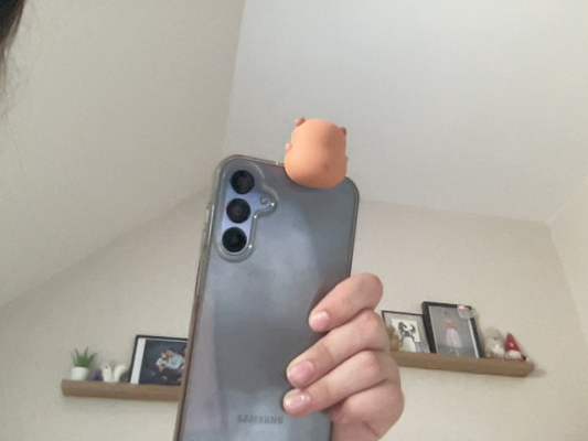 Photo d'un cours de  Photo de smartphone avec accessoire