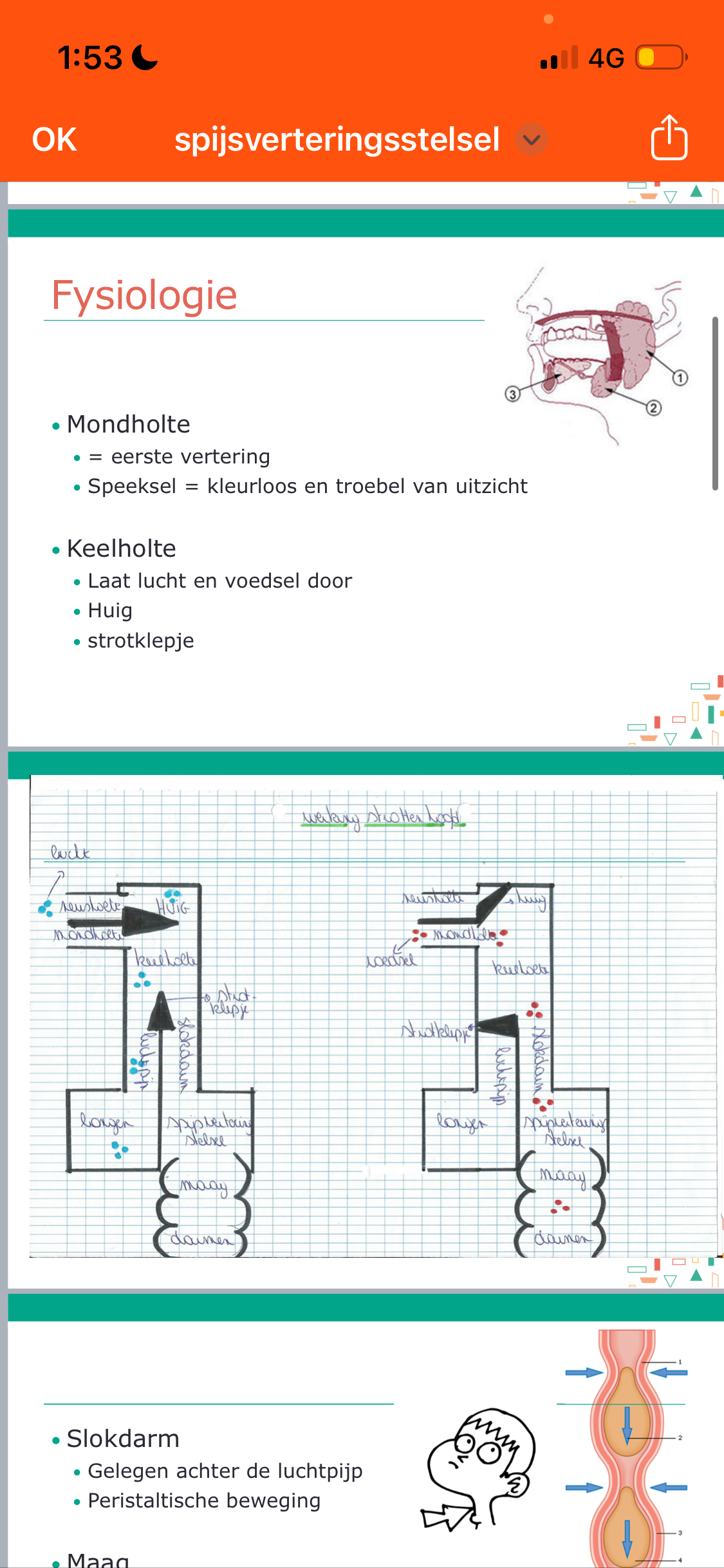 Photo d'un cours de  Physiologie du système digestif