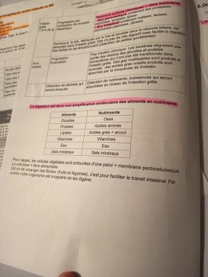 Photo d'un cours de  Processus de digestion des aliments