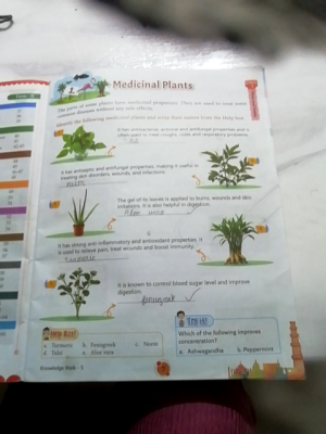 Photo d'un cours de  Propriétés des Plantes Médicinales