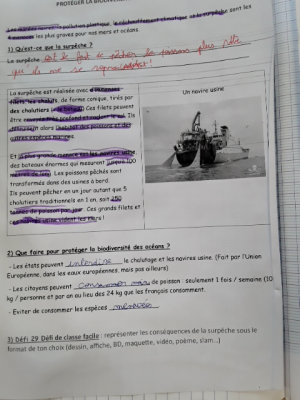 Photo d'un cours de  Protéger la biodiversité marine