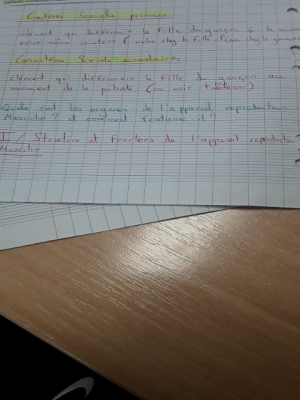 Photo d'un cours de  Puberté et Appareil Reproducteur