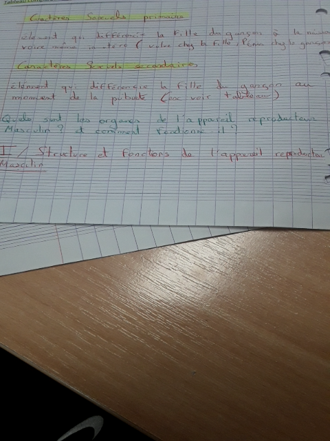 Photo d'un cours de  Puberté et Appareil Reproducteur