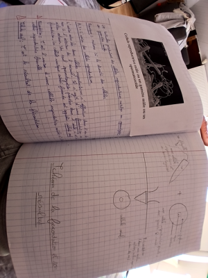 Photo d'un cours de  Reproduction sexuée et fécondation