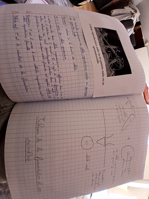 Photo d'un cours de  Reproduction sexuée et fécondation