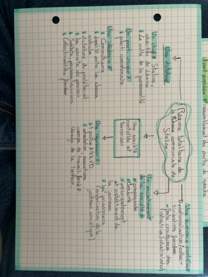 Photo d'un cours de  Régime totalitaire de Staline