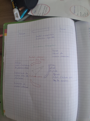 Photo d'un cours de  Schéma du commerce triangulaire