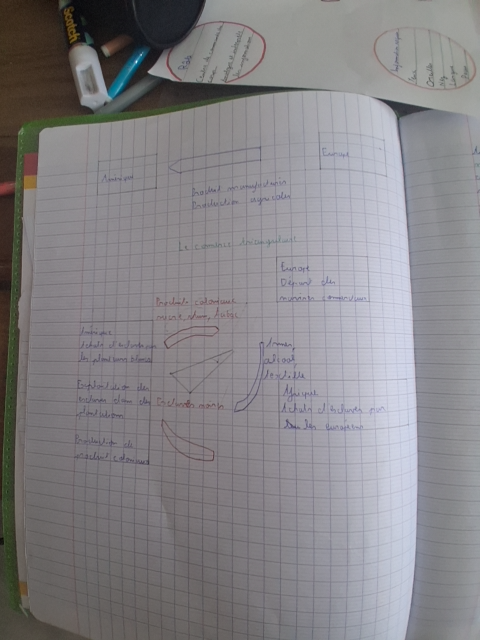 Photo d'un cours de  Schéma du commerce triangulaire