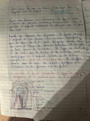 Photo d'un cours de  Soins Biberon et Anatomie Dentaire