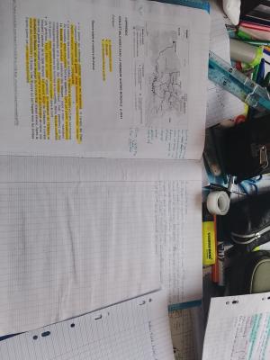 Photo d'un cours de  Stratégies militaires Première Guerre mondiale