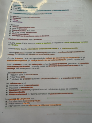 Photo d'un cours de  Structure et fonctions de la peau