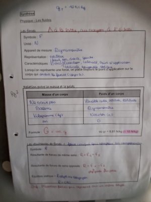 Photo d'un cours de  Synthèse sur les forces physiques