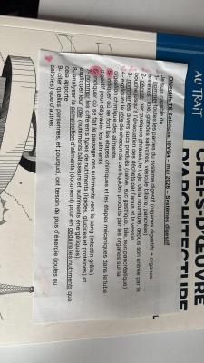 Photo d'un cours de  Système Digestif: Guide Étudiant