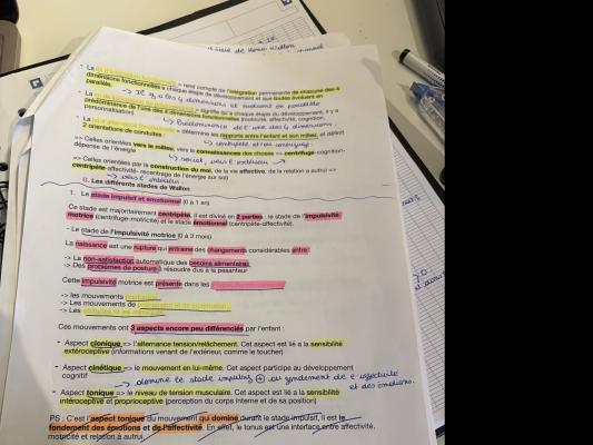 Photo d'un cours de  Théories du développement de Wallon