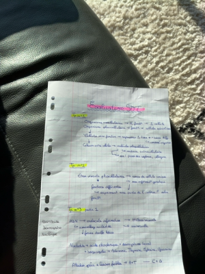 Photo d'un cours de  Évaluation SVT : Génétique Cellulaire