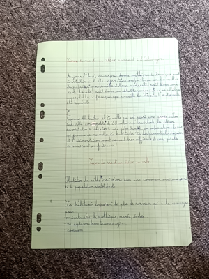 Photo d'un cours de  Villes et campagnes en évolution