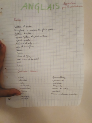 Photo d'un cours de  Vocabulaire Anglais: Famille et Caraïbes