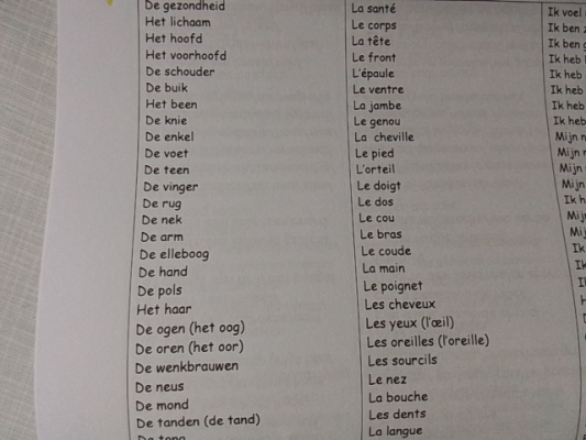 Photo d'un cours de  Vocabulaire Corps Humain Néerlandais-Français
