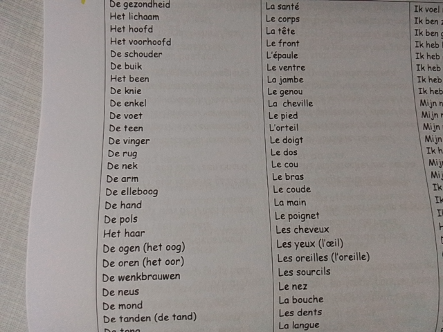 Photo d'un cours de  Vocabulaire Corps Humain Néerlandais-Français