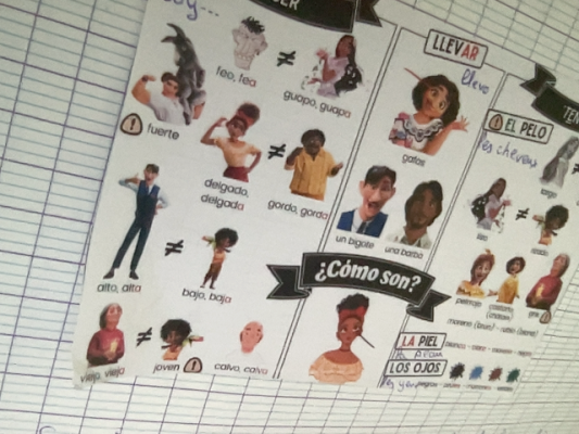 Photo d'un cours de  Vocabulaire des descriptions physiques