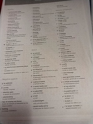 Photo d'un cours de  Vocabulaire des réseaux sociaux