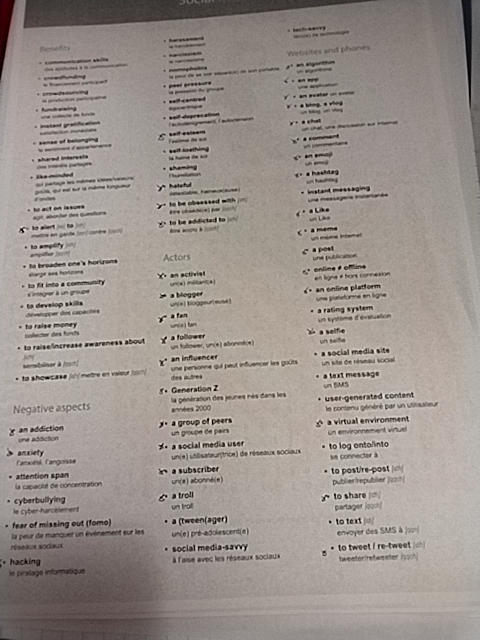 Photo d'un cours de  Vocabulaire des réseaux sociaux