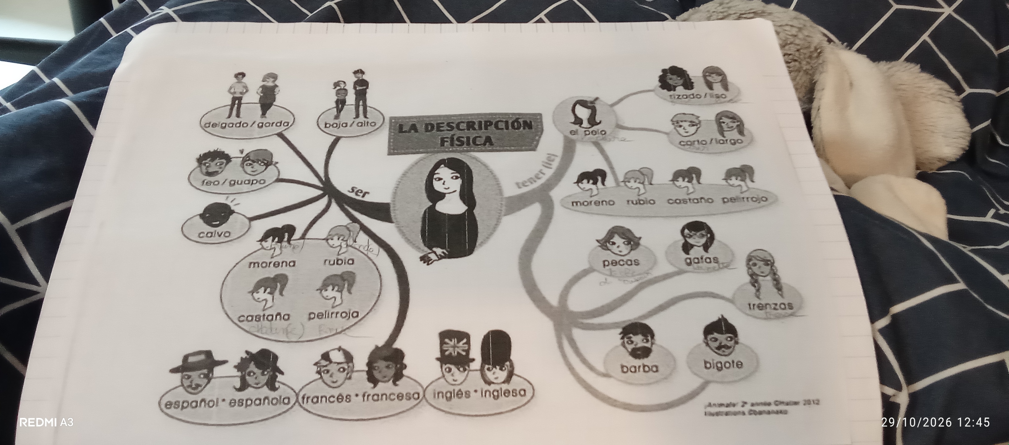 Photo d'un cours de  Vocabulaire Description Physique Espagnol