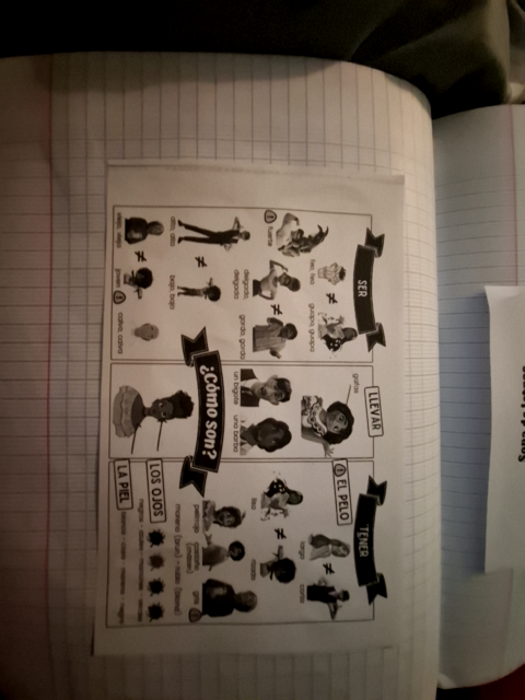 Photo d'un cours de  Vocabulaire Espagnol: Description Physique