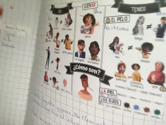 Photo d'un cours de  Vocabulaire Espagnol: Description Physique