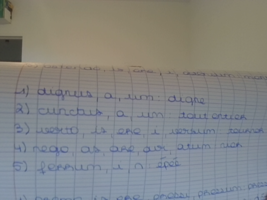 Photo d'un cours de  Vocabulaire Latin-Français Essentiel