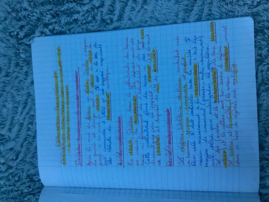 photo  Classification des Triangles et Quadrilatères quiz