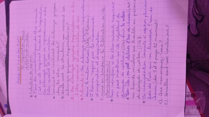 photo  Photosynthèse et Échanges Gazeux quiz