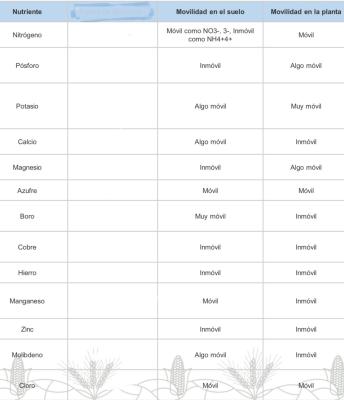 photo  Movilidad de Nutrientes en Plantas quiz
