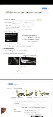 photo  Forearm, Wrist, and Hand Trauma quiz