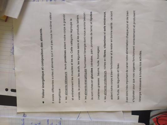 photo  Valeur énergétique des aliments quiz